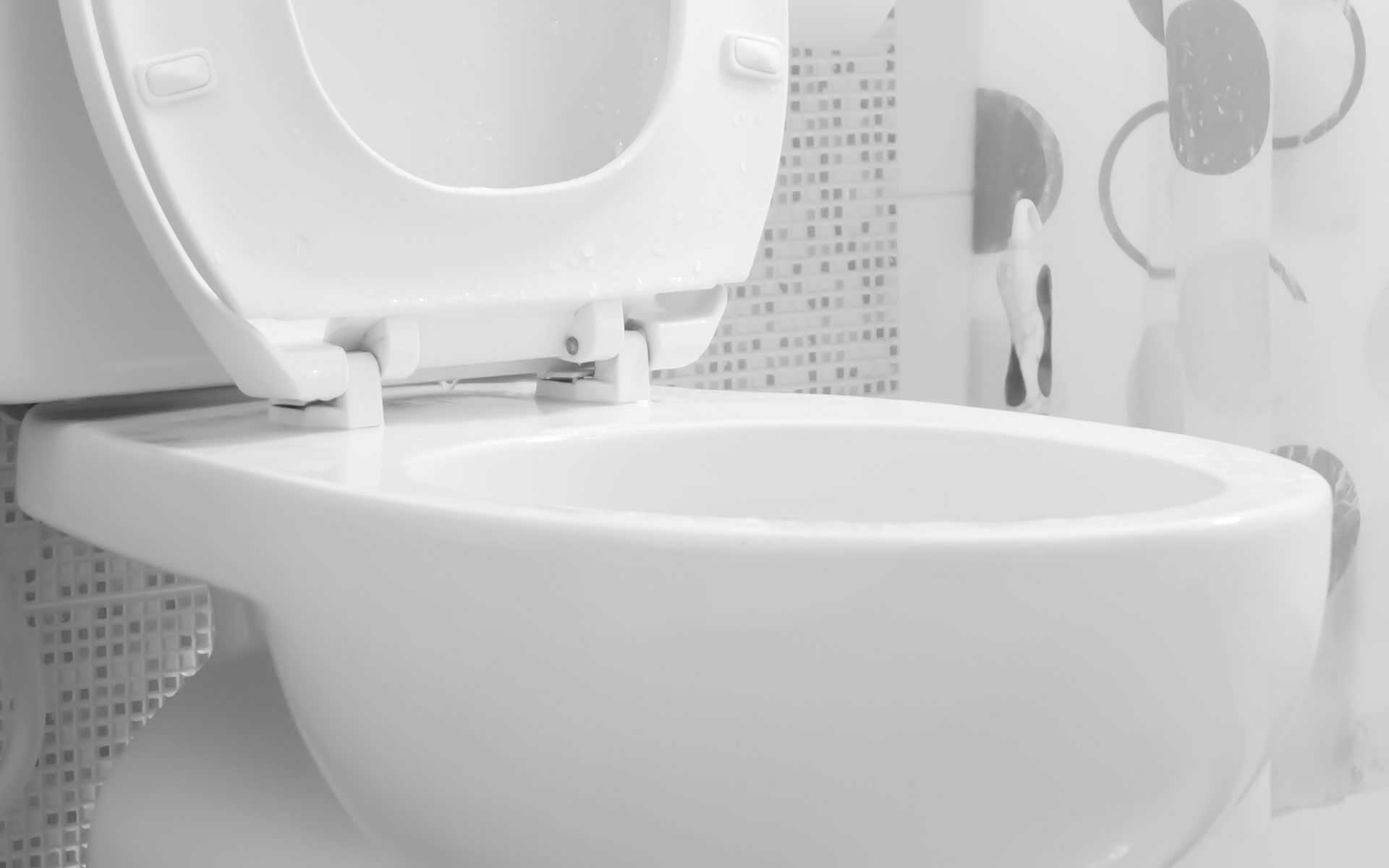 Lauderdale Lakes Toilet Repair